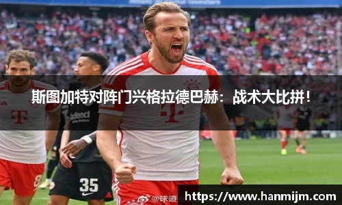 韦德体育